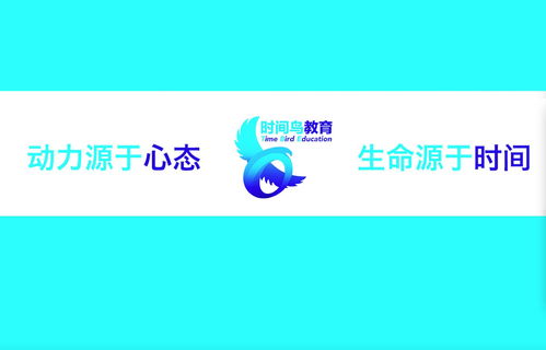 南京時間鳥教育咨詢 引領(lǐng)未來，成就卓越